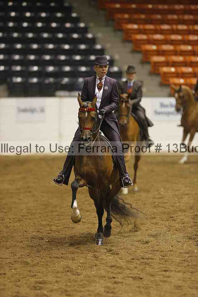 Proof 13buck_2013