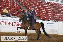 13buck_2020 proof