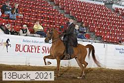 13buck_2021 proof