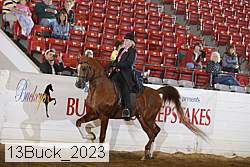 13buck_2023 proof