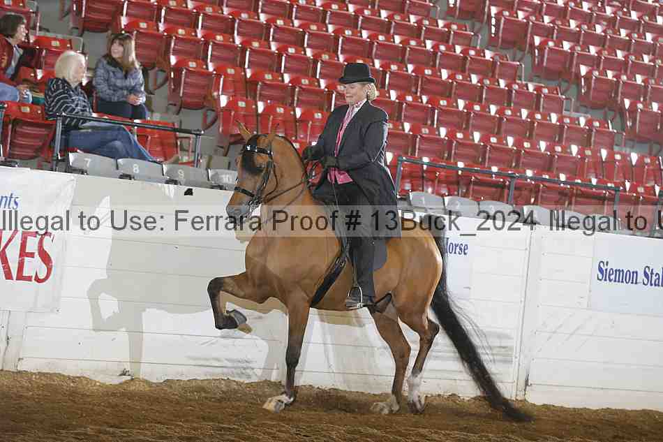 Proof 13buck_2024