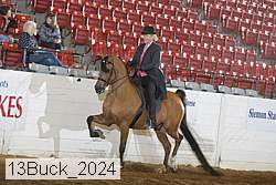 13buck_2024 proof