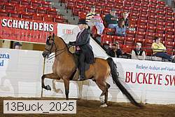 13buck_2025 proof