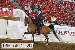 13buck_2026 proof