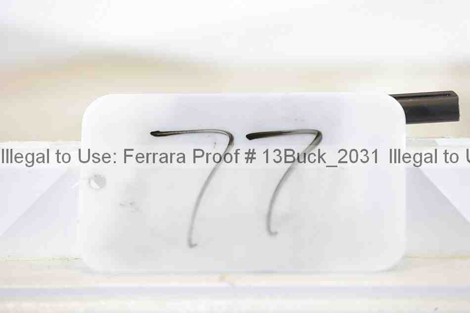 Proof 13buck_2031