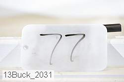 13buck_2031 proof
