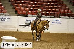 13buck_2033 proof