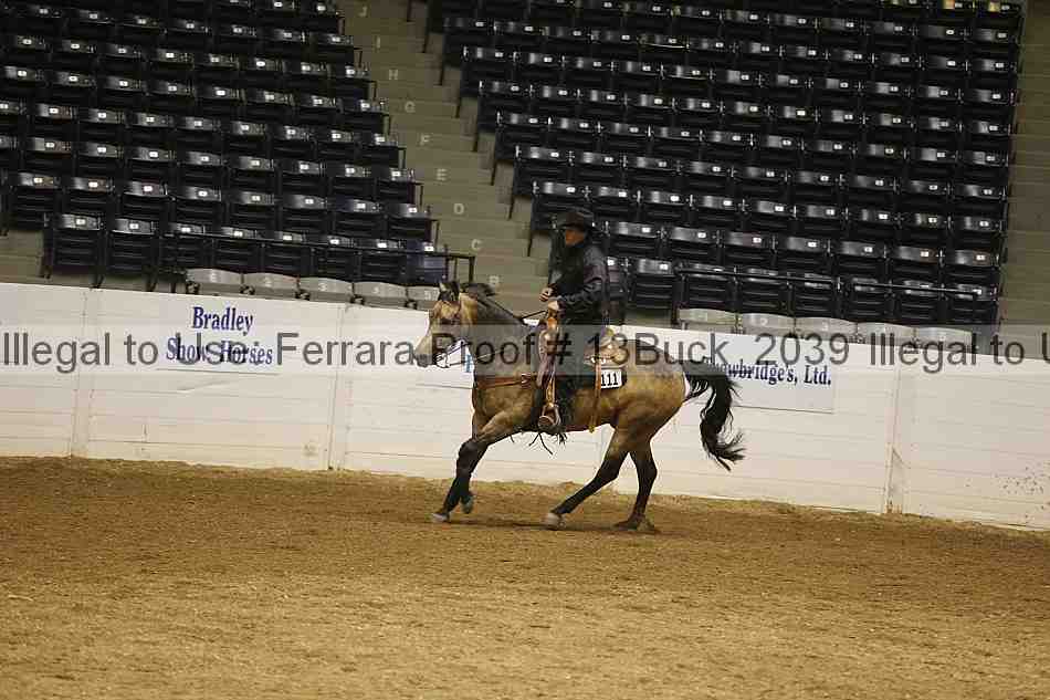 Proof 13buck_2039