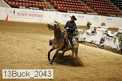 13buck_2043 proof