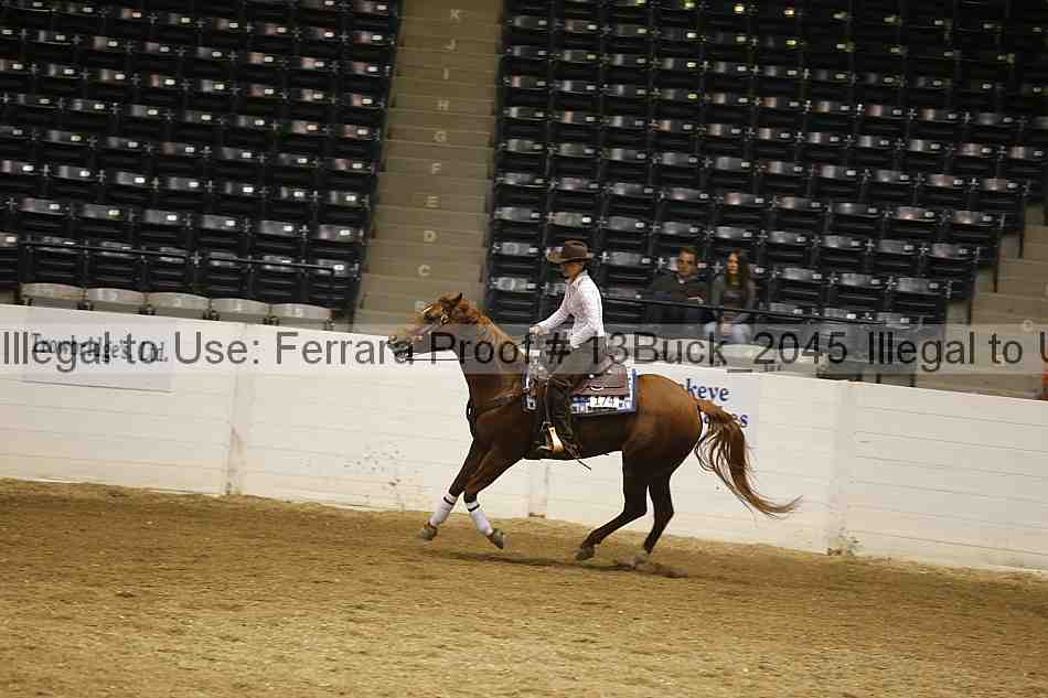 Proof 13buck_2045