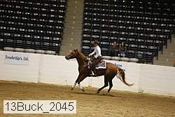 13buck_2045 proof