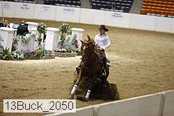 13buck_2050 proof