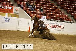 13buck_2051 proof