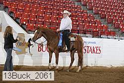 13buck_2061 proof