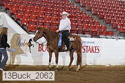 13buck_2062 proof