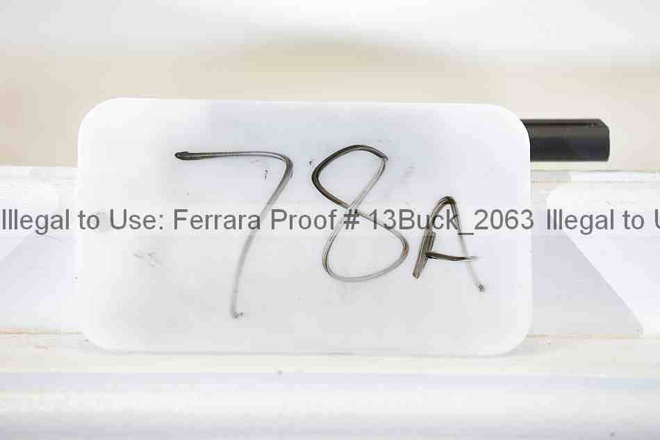 Proof 13buck_2063