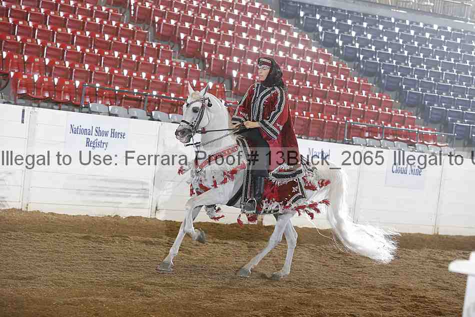 Proof 13buck_2065