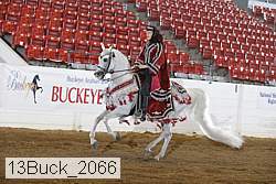 13buck_2066 proof