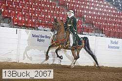 13buck_2067 proof