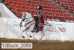 13buck_2068 proof