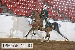 13buck_2069 proof