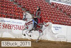 13buck_2071 proof