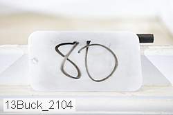 13buck_2104 proof