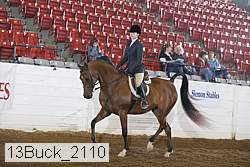 13buck_2110 proof