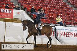 13buck_2112 proof