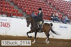 13buck_2114 proof