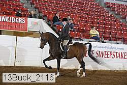 13buck_2116 proof