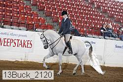 13buck_2120 proof