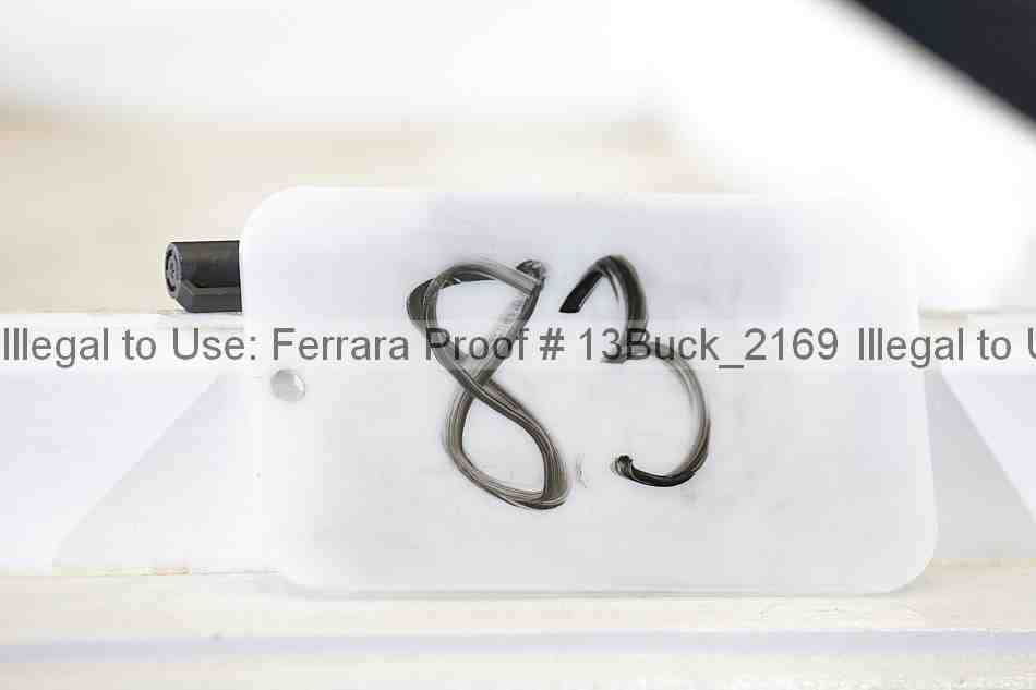 Proof 13buck_2169