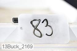 13buck_2169 proof