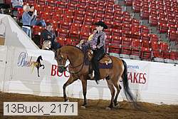 13buck_2171 proof
