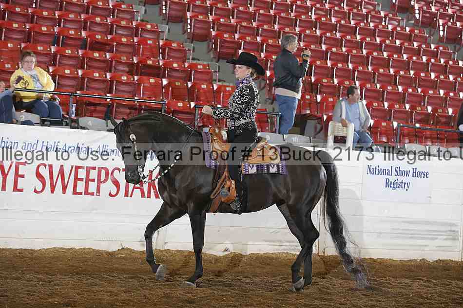 Proof 13buck_2173