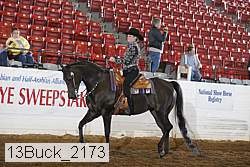 13buck_2173 proof