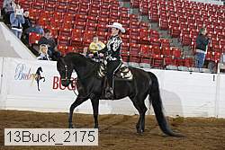13buck_2175 proof