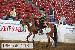 13buck_2181 proof