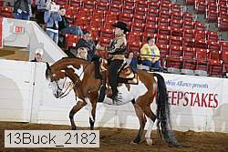 13buck_2182 proof