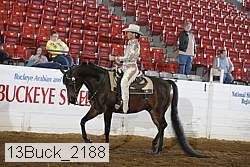 13buck_2188 proof