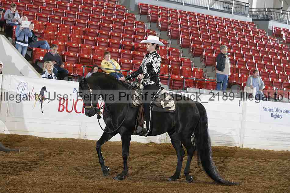 Proof 13buck_2189