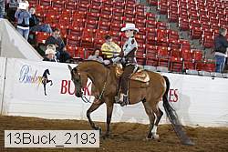 13buck_2193 proof