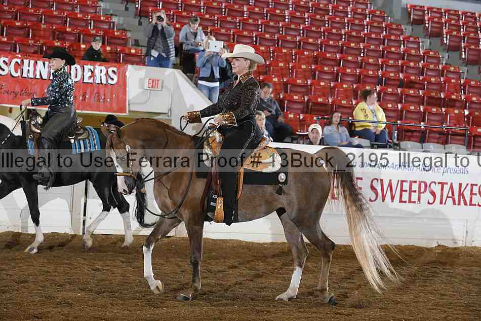 Proof 13buck_2195