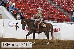13buck_2197 proof