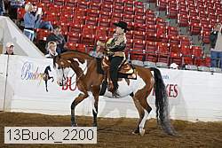 13buck_2200 proof