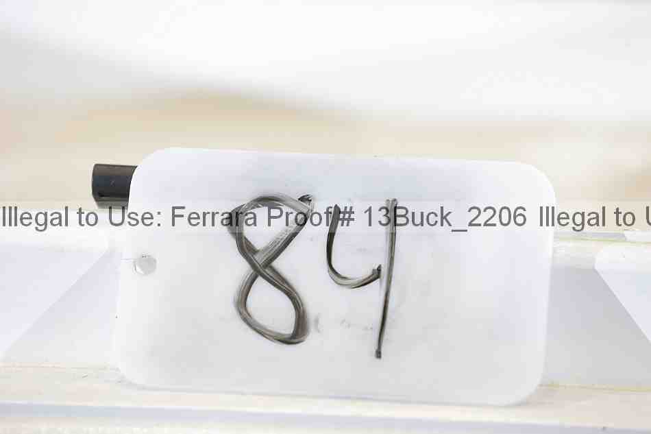 Proof 13buck_2206