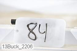 13buck_2206 proof