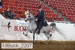 13buck_2207 proof