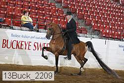 13buck_2209 proof